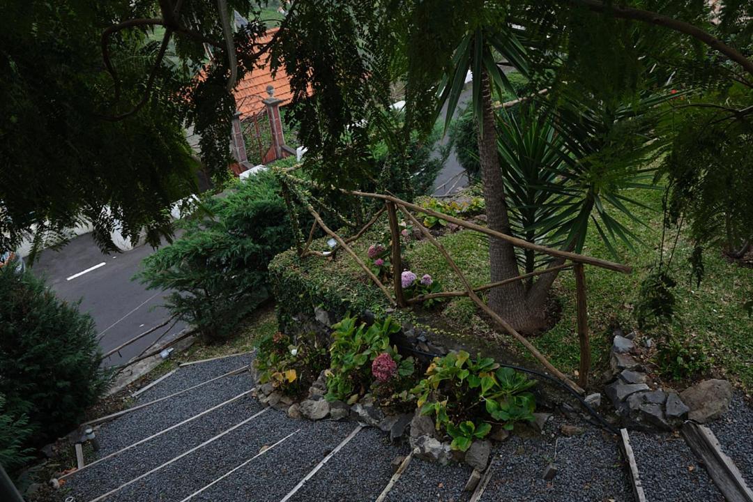 Villa Ga281 à Funchal  Extérieur photo